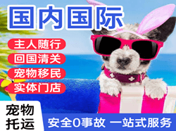 肥东白龙航空邮寄国际宠物托运 【国